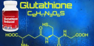 Higher levels of glutathione in the nucleus accumbens correlated with better and more steady performance in motivation-based tasks