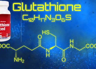 Higher levels of glutathione in the nucleus accumbens correlated with better and more steady performance in motivation-based tasks