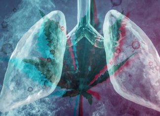 Marijuana: 75% of smokers suffer from emphysema