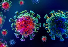 Researchers have identified specific plasma proteins that may reflect the severity of COVID-19 infection