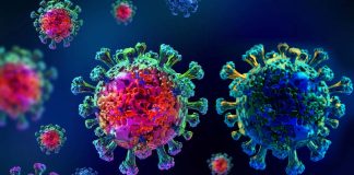 Researchers have identified specific plasma proteins that may reflect the severity of COVID-19 infection