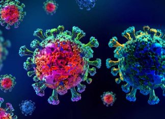 Researchers have identified specific plasma proteins that may reflect the severity of COVID-19 infection