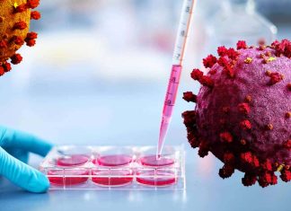 sHLA levels are significantly increased in COVID-19 patients