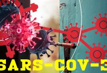SARS-CoV-3 è alle porte