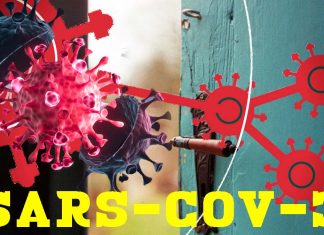 SARS-CoV-3 è alle porte
