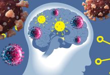 La pandemia di COVID-19 sta facendo invecchiare rapidamente il cervello degli adolescenti