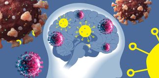 COVID-19 Pandemic Is Causing The Brains Of Adolescents To Age Rapidly