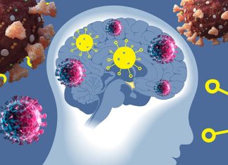 La pandemia di COVID-19 sta facendo invecchiare rapidamente il cervello degli adolescenti