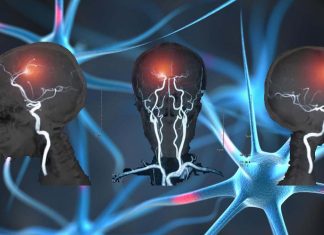 The pain-responsive neurons in the brain quiet down when receive touch input