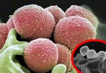 UK Health Authorities Issue Warnings About Rare Invasive Strep A Infection Outbreak After Six Children Died And More Than 851 Infected
