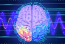 Empathy is induced by synchronized neural oscillations in the right hemisphere of the brain
