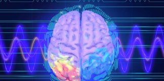 Empathy is induced by synchronized neural oscillations in the right hemisphere of the brain