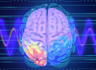 Empathy is induced by synchronized neural oscillations in the right hemisphere of the brain