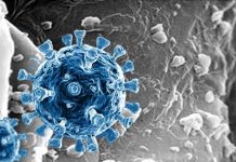 Nasal Mucosal Defenses Wanes 9 Months After SARS-CoV-2 Infection