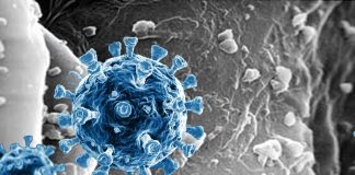 Nasal Mucosal Defenses Wanes 9 Months After SARS-CoV-2 Infection