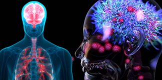 SARS-CoV-2 Infection Damages Mucosal Immunity