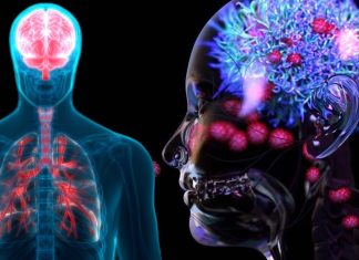 L’infezione da SARS-CoV-2 danneggia l’immunità delle mucose
