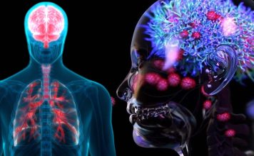 SARS-CoV-2 Infection Damages Mucosal Immunity