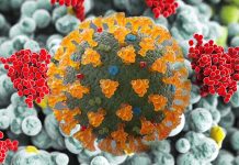 New York Scientists Find SARS-CoV-2 Viral Presence In The Lung Up To 359 Days After Acute Phase Of Disease Even In The Negative Tested