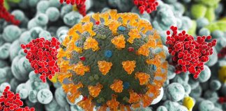 New York Scientists Find SARS-CoV-2 Viral Presence In The Lung Up To 359 Days After Acute Phase Of Disease Even In The Negative Tested