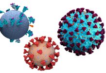 SARS-CoV-2 Spike Protein Binds And Modulates Estrogen Receptors – Increasing Risk Of Thrombosis