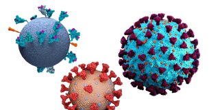 SARS-CoV-2 Spike Protein Binds And Modulates Estrogen Receptors – Increasing Risk Of Thrombosis