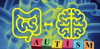 La terapia di trasferimento del microbiota può migliorare i sintomi comportamentali e fisici dell’ASD