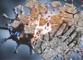 Patients with severe COVID-19 exhibit a drop in cognitive performance that mimics accelerated aging