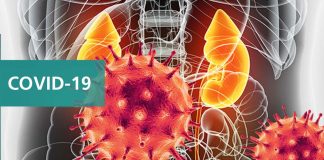 SARS-CoV-2 ORF3A Protein Damages Renal Tubules Causing Acute Kidney Injury