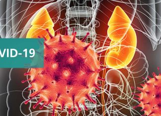 SARS-CoV-2 ORF3A Protein Damages Renal Tubules Causing Acute Kidney Injury