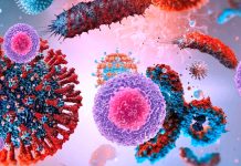 Natural killer (NK) cells exhibit poor cytotoxic responses against SARS-CoV-2-infected targets