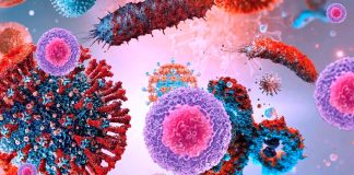 Natural killer (NK) cells exhibit poor cytotoxic responses against SARS-CoV-2-infected targets