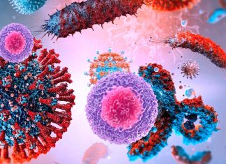 Natural killer (NK) cells exhibit poor cytotoxic responses against SARS-CoV-2-infected targets