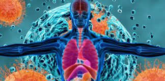 L’infezione da SARS-CoV-2 persiste nel corpo umano e nel cervello