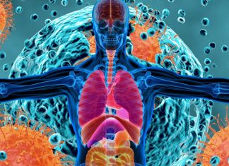 L’infezione da SARS-CoV-2 persiste nel corpo umano e nel cervello