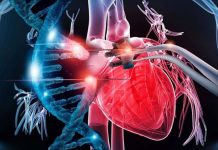 Dilated cardiomyopathy (DCM): CRISPR-Cas9 therapy can reverse the mutation