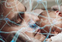 Researchers find significant changes in fathers’ brains between the prenatal and the postpartum period