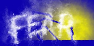 The fear memories are stored in the connections between neurons in the prefrontal cortex