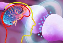 Ketamine alters neural activity in the cerebral cortex, silencing normally active neurons and activating neurons that are normally inactive
