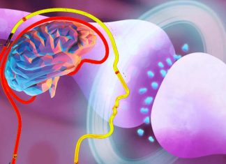 Ketamine alters neural activity in the cerebral cortex, silencing normally active neurons and activating neurons that are normally inactive