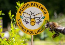The loss of pollinators is already impacting health on a scale with other global health risk factors
