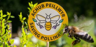 The loss of pollinators is already impacting health on a scale with other global health risk factors