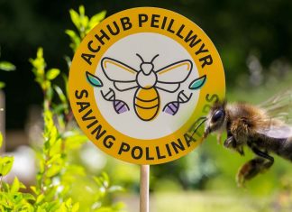 The loss of pollinators is already impacting health on a scale with other global health risk factors