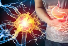 Targeting the Piezo2 receptor to treat organ pain