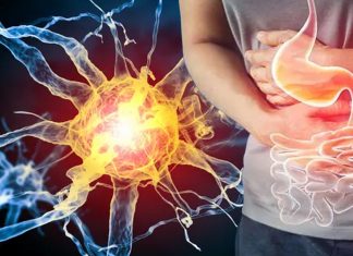 Targeting the Piezo2 receptor to treat organ pain