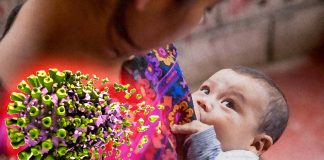 Il latte materno di coloro che sono stati vaccinati contro il COVID-19 può proteggere i neonati