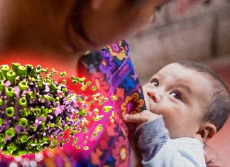 Il latte materno di coloro che sono stati vaccinati contro il COVID-19 può proteggere i neonati