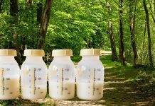 Living in a greener environment has an impact on the composition of oligosaccharides in mother’s breastmilk
