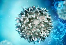 Rebalancing TGFβ1/BMP Signals Reverse T Cell Dysfunctionality During Viral Infections And Cancer