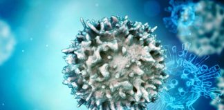 Rebalancing TGFβ1/BMP Signals Reverse T Cell Dysfunctionality During Viral Infections And Cancer